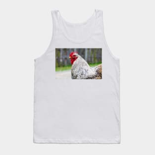 Cochin chicken closeup Tank Top